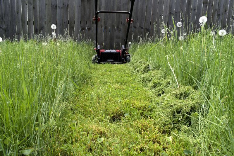 Trimming Overgrown Grass